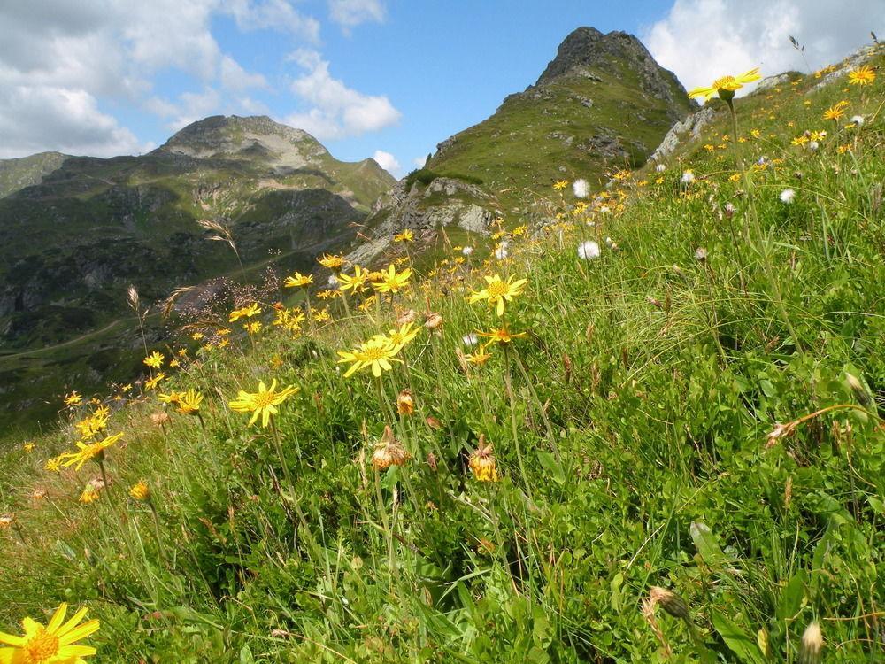 Premium Wanderhotel Steirerhof Schladming Zewnętrze zdjęcie